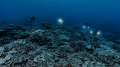 Projection du documentaire « Les Défis De La Grande Barrière De Corail »