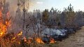 1.455 mégatonnes de carbone suite aux feux de forêt