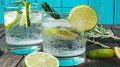 Un gin tonic qui peut aider à sauver la forêt tropicale