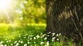 Chantiers nature - « Fit by nature »