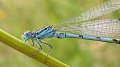 La biodiversité au Luxembourg sous les projecteurs