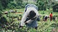 Un soutien durable aux petits exploitants agricoles dans le monde