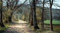 Objectif 65% pour Dudelange #Klimapakt