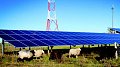 Découvrez un des plus grands parcs solaires au sol du Luxembourg