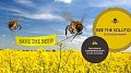 La campagne SAVE THE BEES obtient 5.000 signatures