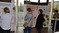 Greifvögel in Luxemburg : Neue Ausstellung von natur&ëmwelt mit Erweiterter Realität