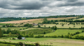 Plantez des haies et favorisez la biodiversité sur notre territoire !