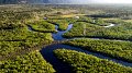 Des drones à bas prix s'envolent à la rescousse des forêts du monde entier