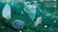 Participez à Plastic Free July : réduisez votre consommation de plastique