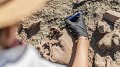 Journées européennes de l'archéologie : rendez-vous avec VOTRE histoire