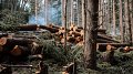 La Commission européenne reporte encore le règlement anti-déforestation
