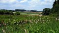 Le Parc naturel de la Haute-Sûre au cœur du réseau Natura 2000