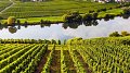 La viticulture bio conquérante