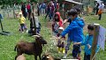 Fête de la Nature : le 21 juin, à Kockelscheuer