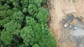 Produits sans déforestation : rien d'officiel, rien de clair