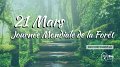 Vous aimez vous promener en forêt ? Fêtez la journée mondiale de la forêt le 21 mars prochain.