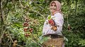 L'agroforesterie dynamique, solution durable pour sauver la filière du café
