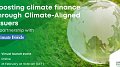 Boosting climate finance through Climate-Aligned Issuers