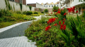 Le jardin du projet résidentiel Rijnpoor, bien plus qu'une attraction visuelle