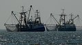 Un accord informel pour interdire la pêche en eaux profondes