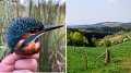Ce weekend, découvrez la nature et la biodiversité luxembourgeoise
