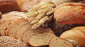 Visite de la boulangerie Oiko-Bakhaus
