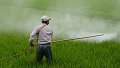 De nouvelles directives en matière de pesticides