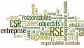 Entreprise et environnement : Mevengreen vous explique les avantages liés à la responsabilité sociale des entreprises (RSE)