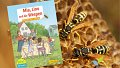 Comprendre les guêpes au lieu de les craindre : nouveau livre de natur&ëmwelt
