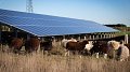 5 idées reçues sur les panneaux photovoltaïques