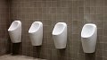 Efficaces, économes, écologiques : le pari réussi des urinoirs sans eau
