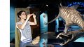 Vidéoconférence : Les reptiles marins