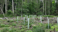 Quelles forêts pour demain au Luxembourg ?