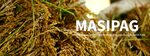 MASIPAG : victoire historique pour l'agriculture écologique aux Philippines
