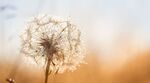Fondation Hëllef fir d'Natur et natur&ëmwelt asbl : le rapport annuel 2023