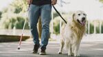 Semaines de sensibilisation aux besoins spécifiques