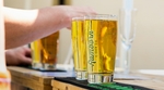 Bienvenue au World Cider Day