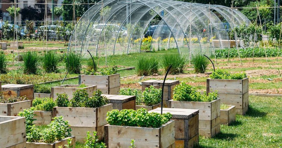 Le Bâti de Fourche Faucheux : Un Pilier de l'Agriculture Moderne () Le Bâti de Fourche Faucheux : Un Pilier de l'Agriculture Moderne
